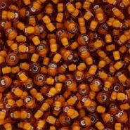 Rocailles Preciosa Ornela 6/0-15096 White lining-topaz brown