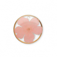 Gedroogde bloemetjes bedel Gold-light pink