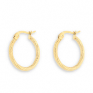 Oorbellen van Stainless steel Roestvrij staal (RVS) creolen Gold