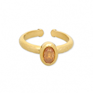Ringen van Stainless steel Roestvrij staal (RVS) Gold-light orange