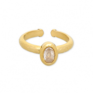 Ringen van Stainless steel Roestvrij staal (RVS) Gold-transparent