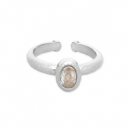 Ringen van Stainless steel Roestvrij staal (RVS) Silver-transparent