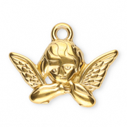 Bedels van Stainless steel Roestvrij staal (RVS) angel Gold