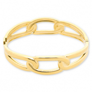 Armbanden van Stainless steel Roestvrij staal (RVS) Gold