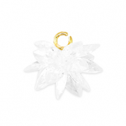 Zirkonia bedels flower Transparent