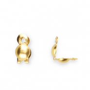 Benodigdheden van Stainless steel Roestvrij staal (RVS) kalotjes 2mm Gold