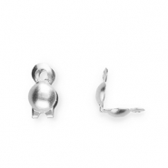 Benodigdheden van Stainless steel Roestvrij staal (RVS) kalotjes 2mm Silver