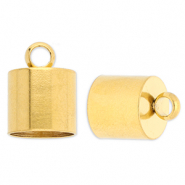 Benodigdheden van Stainless steel Roestvrij staal (RVS) eindkap &Oslash;10mm met oog Gold