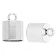 Benodigdheden van Stainless steel Roestvrij staal (RVS) eindkap &Oslash;10mm met oog Silver