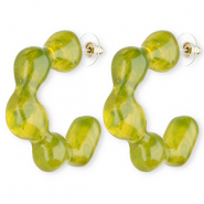 Musthave resin oorbellen&nbsp;/&nbsp;oorstekers Multicolour green