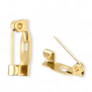 Benodigdheden van Stainless steel Roestvrij staal (RVS) brochespeld Gold
