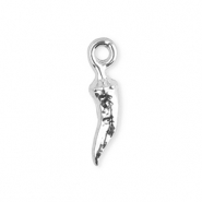 Bedels van Stainless steel Roestvrij staal (RVS) chili pepper Silver