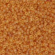 Miyuki 11/0 rocailles 11-0162