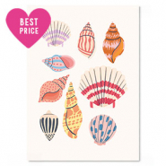 Kaartjes voor sieraden Shell Multicolor