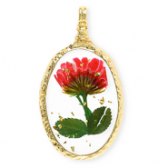 Gedroogde bloemetjes bedel oval Gold-red-green