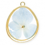 Gedroogde bloemetjes bedel egg-shaped Gold-light blue