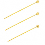 BY31&reg; Benodigdheden van Stainless steel Roestvrij staal (RVS) nietstiften with ball 35mm Gold