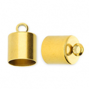 Benodigdheden van Stainless steel Roestvrij staal (RVS) eindkap &Oslash;8mm met oog Gold