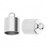Benodigdheden van Stainless steel Roestvrij staal (RVS) eindkap &Oslash;8mm met oog Silver