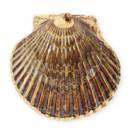 Schelp hanger special scallop Dark brown-gold