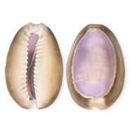 Schelp hanger special kauri Purple-brown