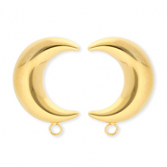 BY31&reg; Benodigdheden van Stainless steel Roestvrij staal (RVS) oorbellen&nbsp;/&nbsp;oorstekers moon with loop Gold