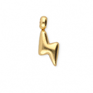 BY31&reg; Bedels van Stainless steel Roestvrij staal (RVS) thunder Gold