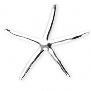 Statement broches van Stainless steel Roestvrij staal (RVS) starfish Silver