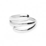 Ringen van Stainless steel Roestvrij staal (RVS) Silver