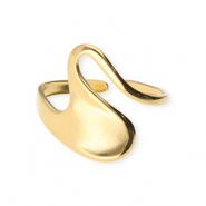 Ringen van Stainless steel Roestvrij staal (RVS) Gold