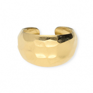 Ringen van Stainless steel Roestvrij staal (RVS) Gold