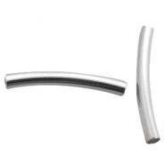 DQ metaal tubes 4x30mm Zilver 