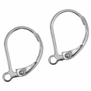 Oorbellen van Stainless steel Roestvrij staal (RVS) sluitbare oorhanger Zilver