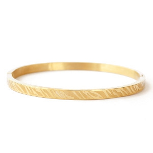 Armbanden van Stainless steel Roestvrij staal (RVS) zebra print Goud