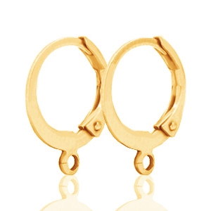 Oorringen DQ 12mm Gold 