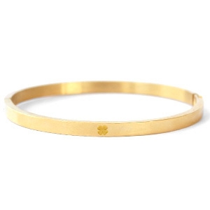Armbanden van Stainless Steel Roestvrij staal (RVS) met klaver Goud