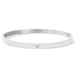 Armbanden van Stainless Steel Roestvrij staal (RVS) met hart Zilver