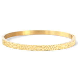 Armbanden van Stainless steel Roestvrij staal (RVS) snake Goud