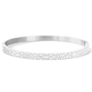 Armbanden van Stainless steel Roestvrij staal (RVS) snake Zilver