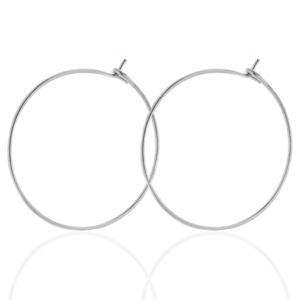 Oorbellen van Stainless steel Roestvrij staal (RVS) 25mm Zilver
