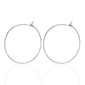 Oorbellen van Stainless steel Roestvrij staal (RVS) 20mm Zilver