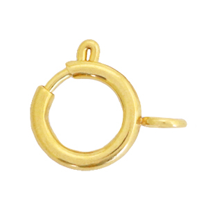 Benodigdheden van Stainless steel Roestvrij staal (RVS) slotje 12x14mm Goud