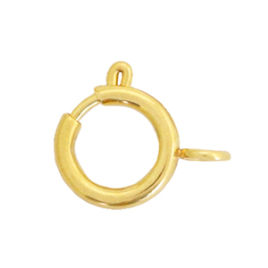 Benodigdheden van Stainless steel Roestvrij staal (RVS) slotje 10x12mm Goud