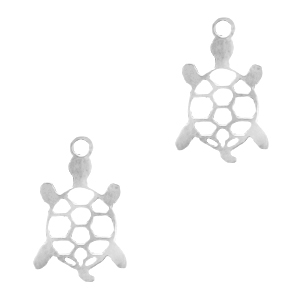 Bedels van Stainless steel Roestvrij staal (RVS) schildpad Zilver
