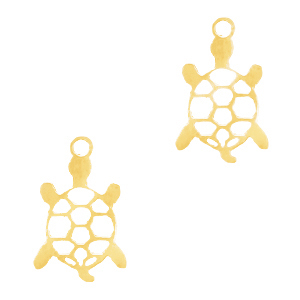 Bedels van Stainless steel Roestvrij staal (RVS) schildpad Goud