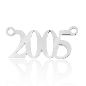 Bedels van Stainless steel Roestvrij staal (RVS) tussenstuk jaartal 2005 Zilver