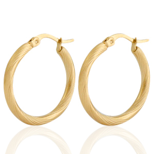 Oorbellen van Stainless steel Roestvrij staal (RVS) creolen Goud