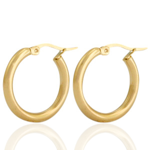 Oorbellen van Stainless steel Roestvrij staal (RVS) creolen Goud