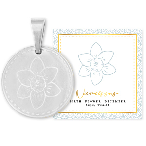 Mix & Match bedels van Stainless steel Roestvrij staal (RVS) 15mm Birth flower December-Narcissus Zilver