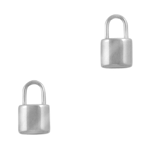 Bedels van Stainless steel Roestvrij staal (RVS) slot Zilver